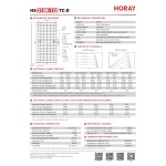 Panneau solaire bifacial N-Type 630 W – Horay Solar Cosmos HS210R-132TC-D