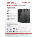 Panneau solaire bifacial N-Type 640 W – Horay Solar Cosmos HS210R-132TC-D