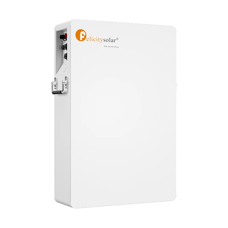 5,12 kWh — Batterie LiFePO₄ basse tension IP65, murale ou au sol — LPBA48100-OL | Felicity Solar