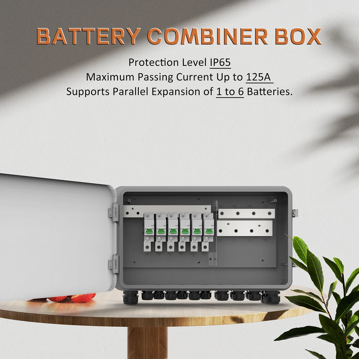 Boîtier de combinaison de batteries 6 entrées 125A/80V | Felicity